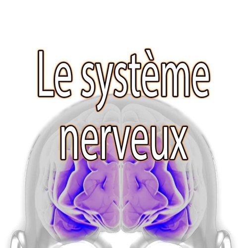 Entrainement et ces bienfaits
