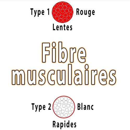 Entrainement et ces bienfaits